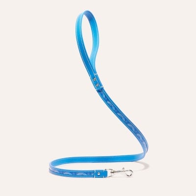 Edmond Leash